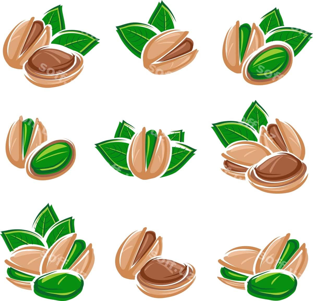 Pistachiy vektor komplekti | Pistachio nuts set vector 1