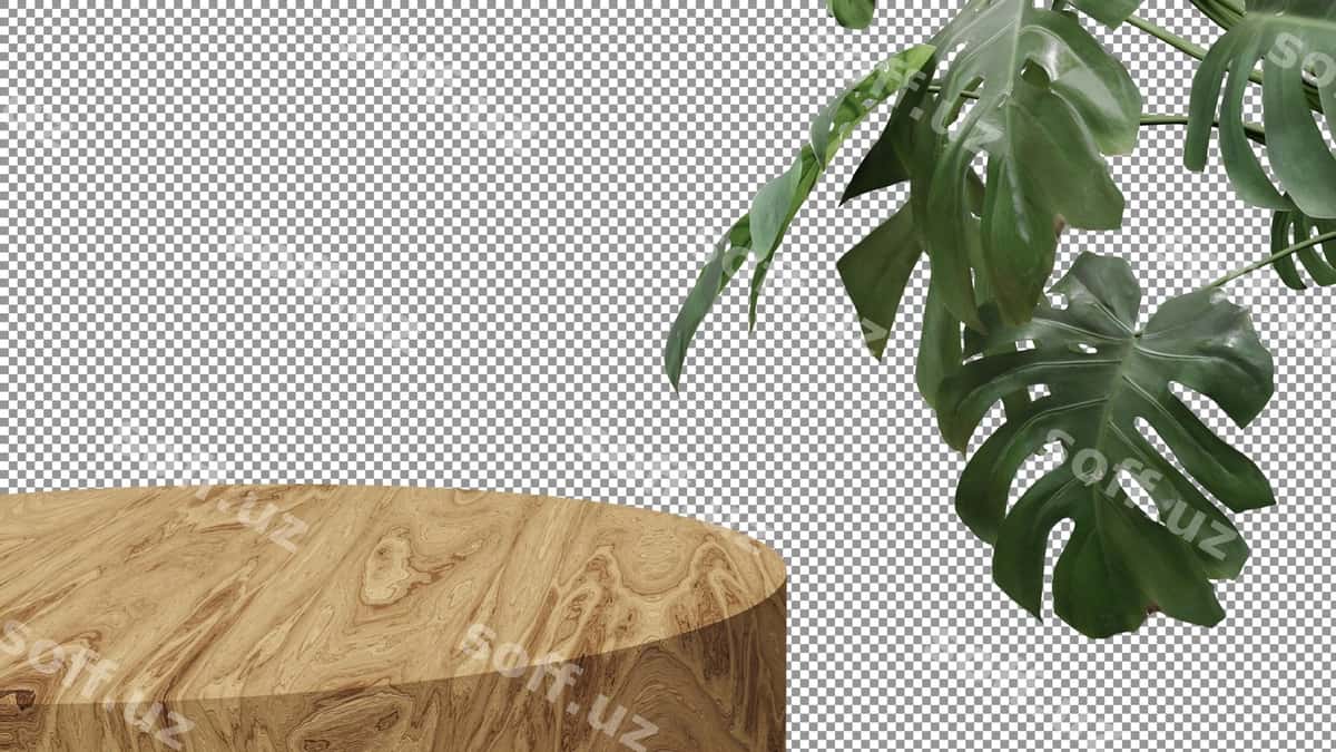 O'simlik yunli stolda o'tmoqda. | Plant is sitting wooden table 1