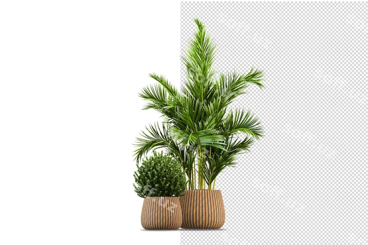 O'simliklar turli xil burchlarda sahna yaratuvchi | Plants various angles scene creator 1