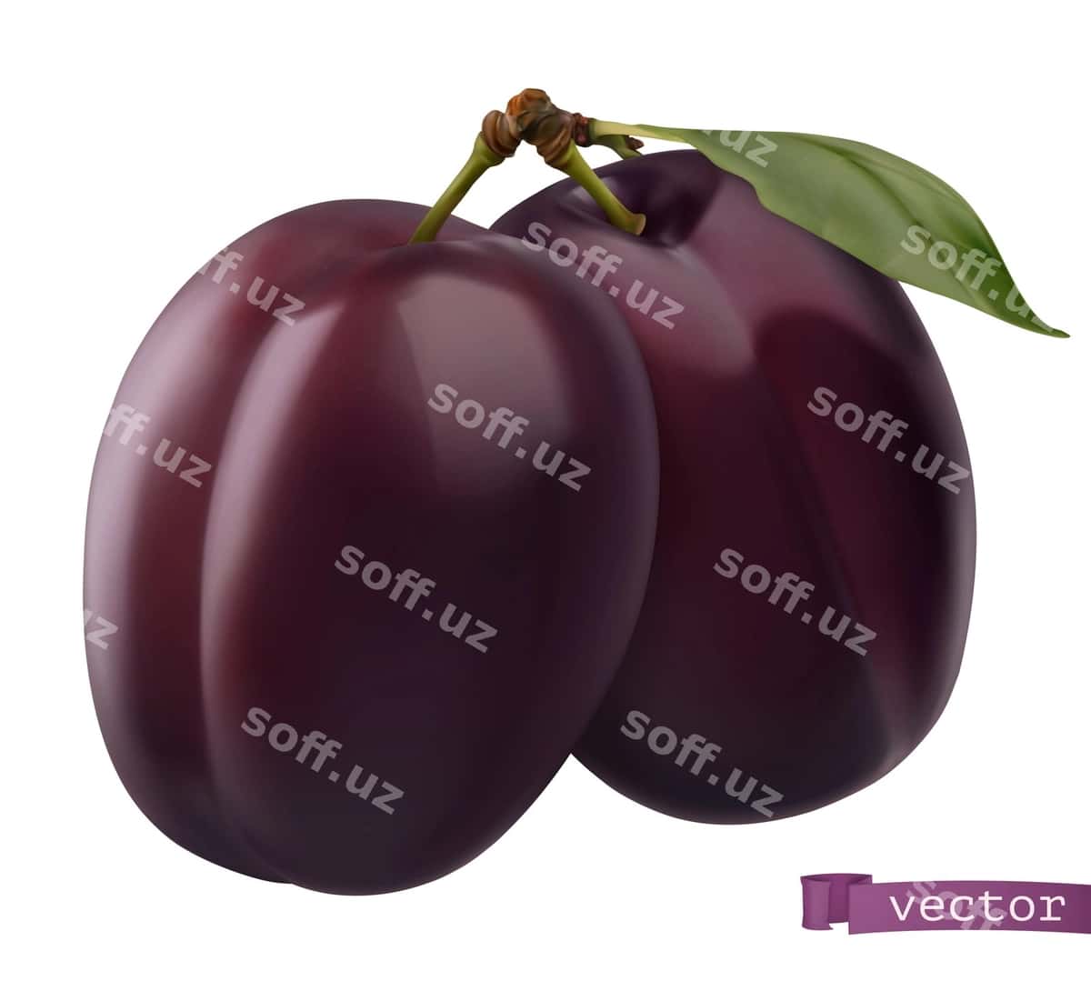 Olxo'ri 3d realistik | Plum 3d realistic 1