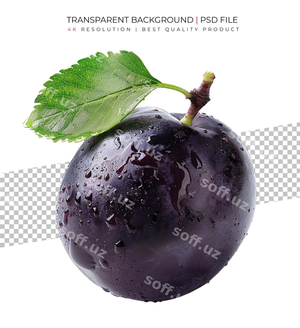 Olchalar ajraltirilgan oq fond | Plums isolated white background 1