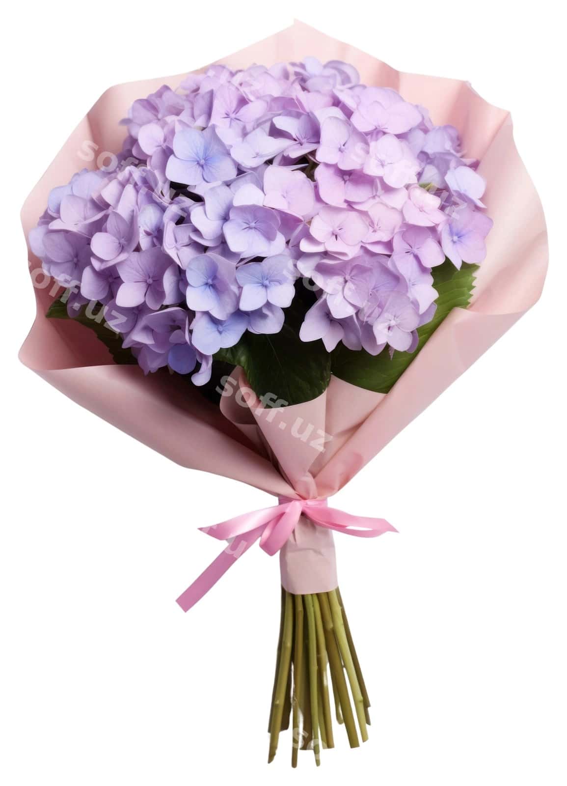 PNG guldastasi gulbargli o'simlik qog'ozi | Png flower bouquet petal plant paper 1