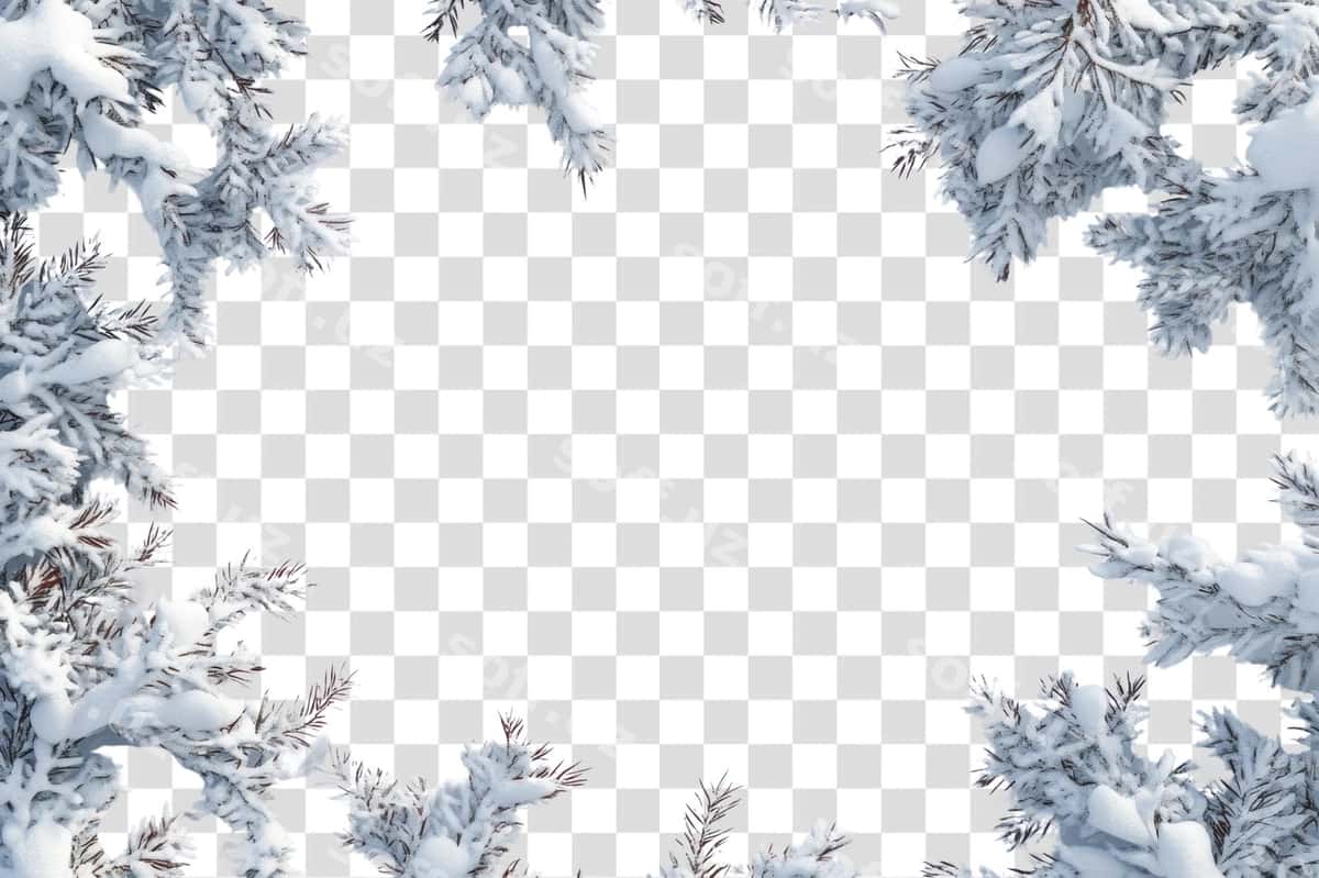Png qor chegara orqa tabiat qish | Png snow border background nature winter 1