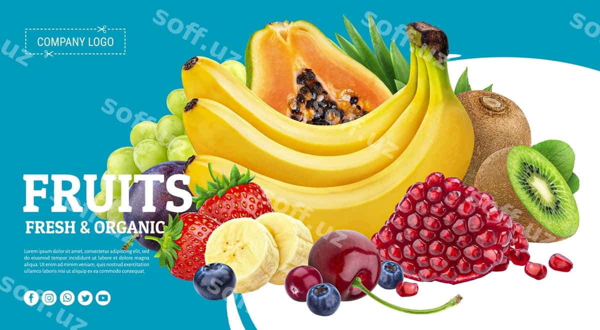 Poyt meva, "meva" deb yozilgan | Poster fruit that says fruit it 1