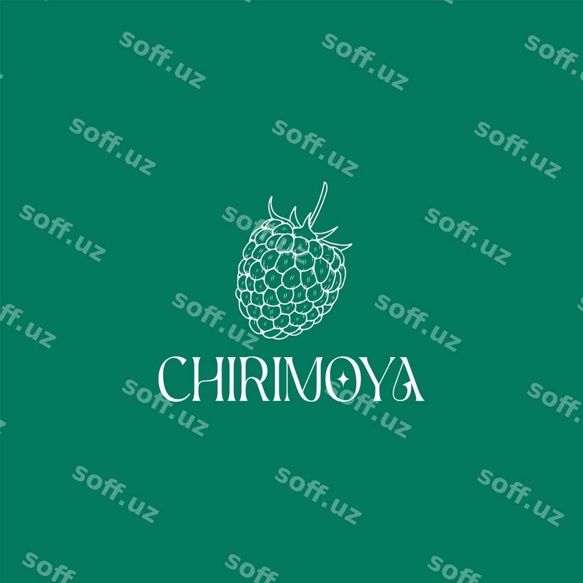 Premiyalogo dizayni | Premium logo design 1