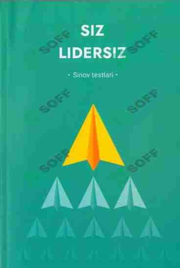 Siz lidersiz