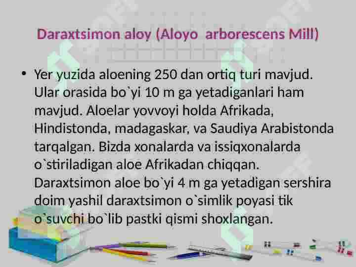 Bir urug’ pallalilar sinfi 7