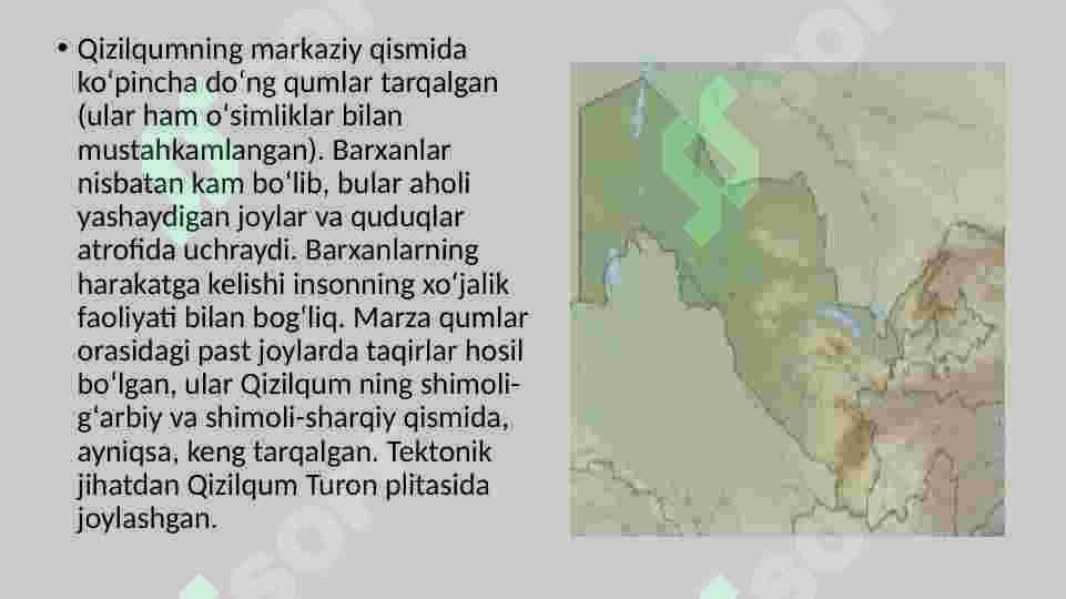 Qizilqum o’simliklar dunyosi 4