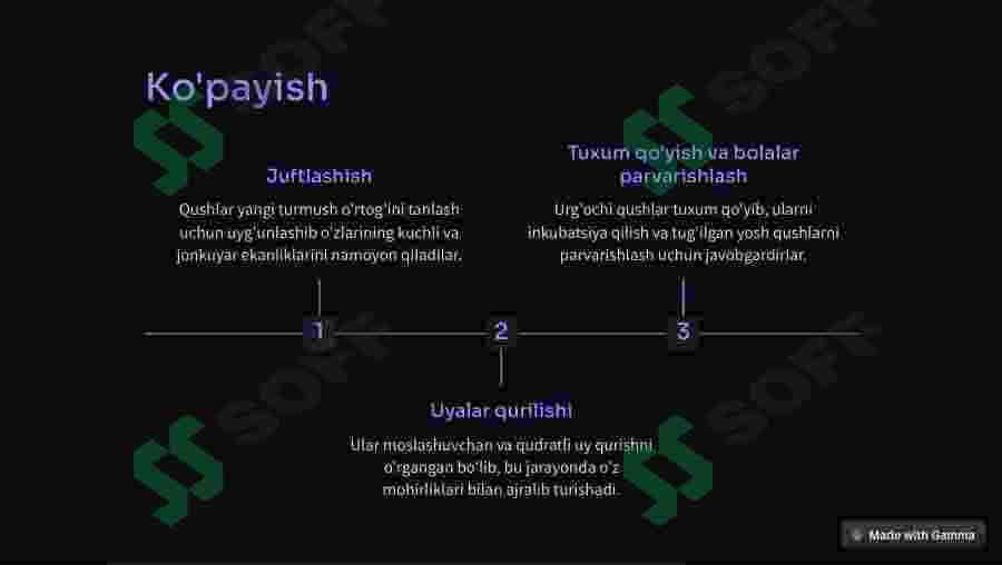 Qushlar snifi 4