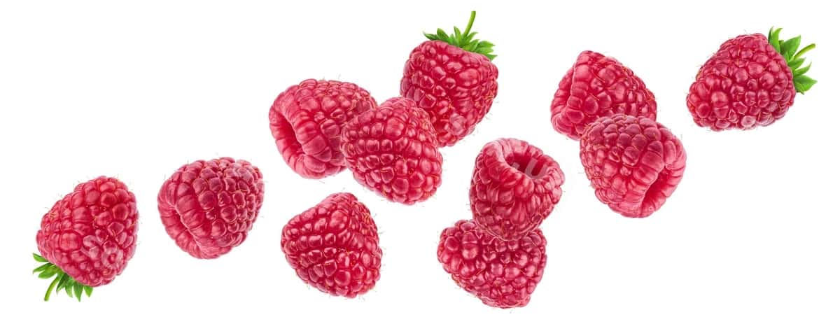 Marta ajraltirilgan oq fonda | Raspberry isolated white background 1
