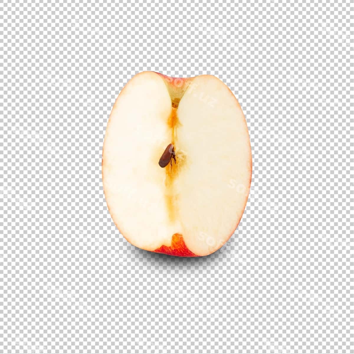Qizil olma aylantirilgan dinamik chuqurlik maydoni | Red apple slice cutout full depth field 1