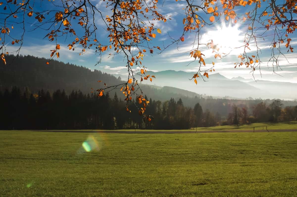 Quyoshli kun fonida osmonning manzarali manzarasi | Scenic view landscape against sky sunny day 1