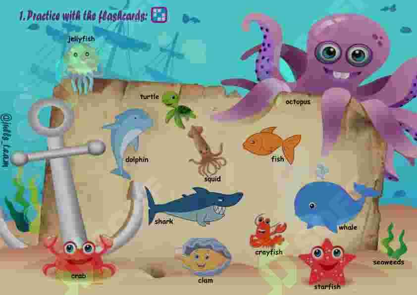 sea animals 2