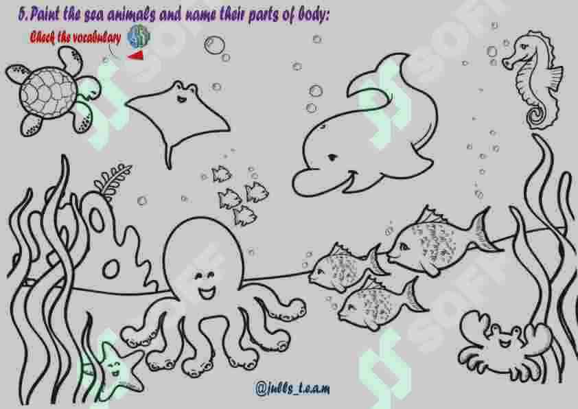 sea animals 4