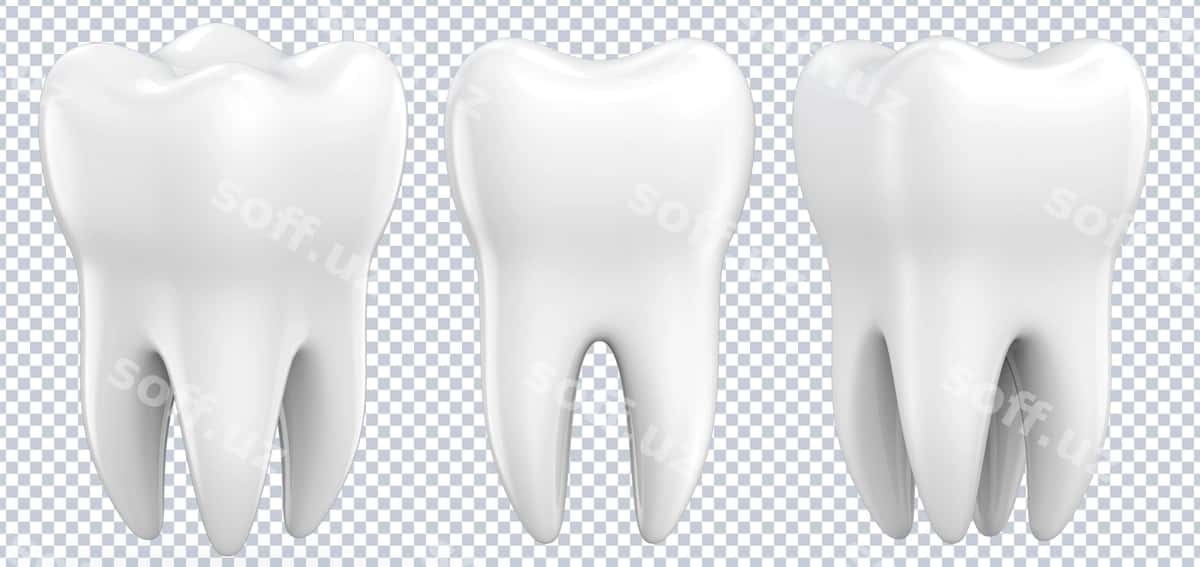 Premolar tishlarni oʻrnatish | Set dental premolar teeth 1