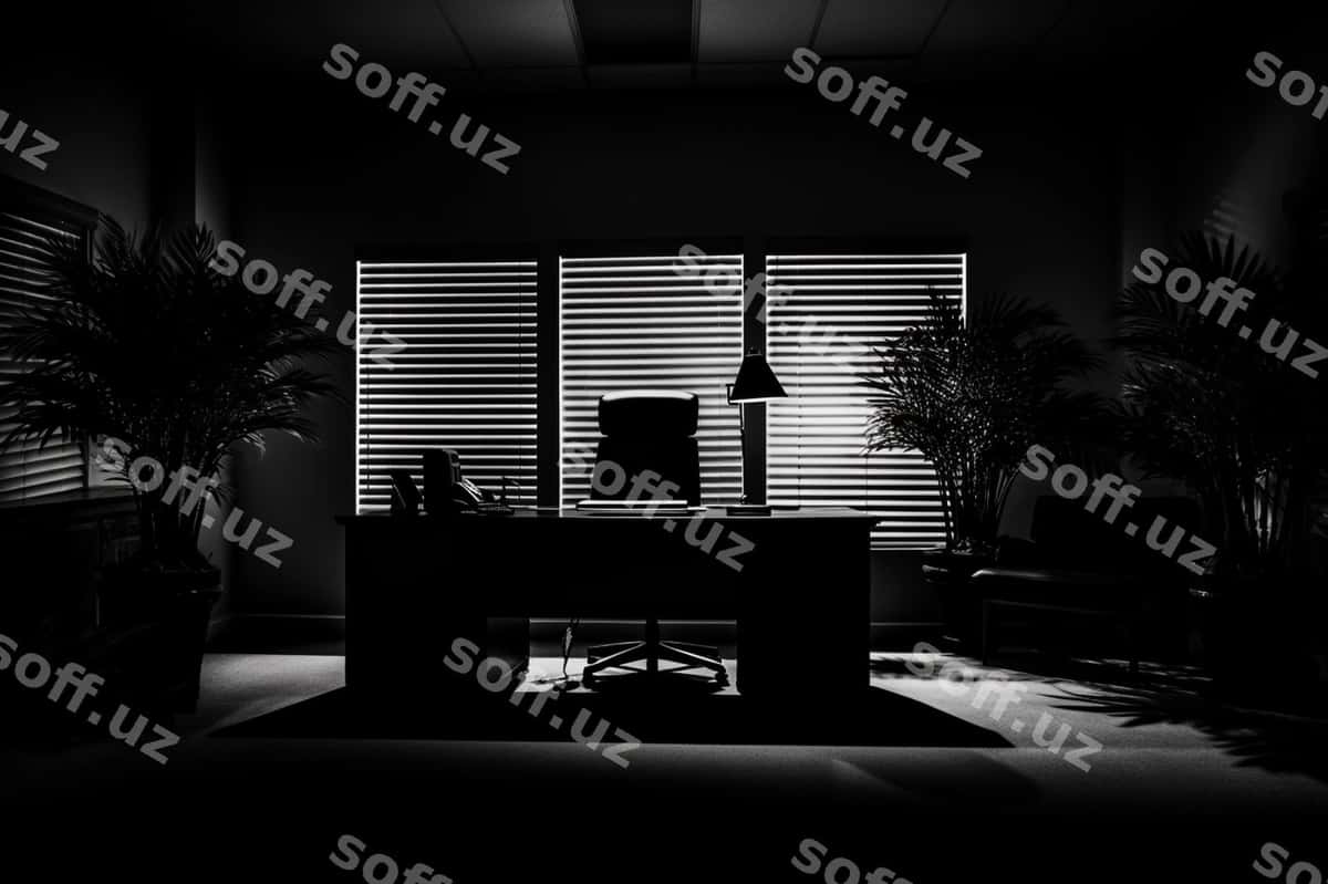Chimlar haqiqiy ofis fotosurati qorong'i aspiratsiya | Shadows aspiration dark office photo 1