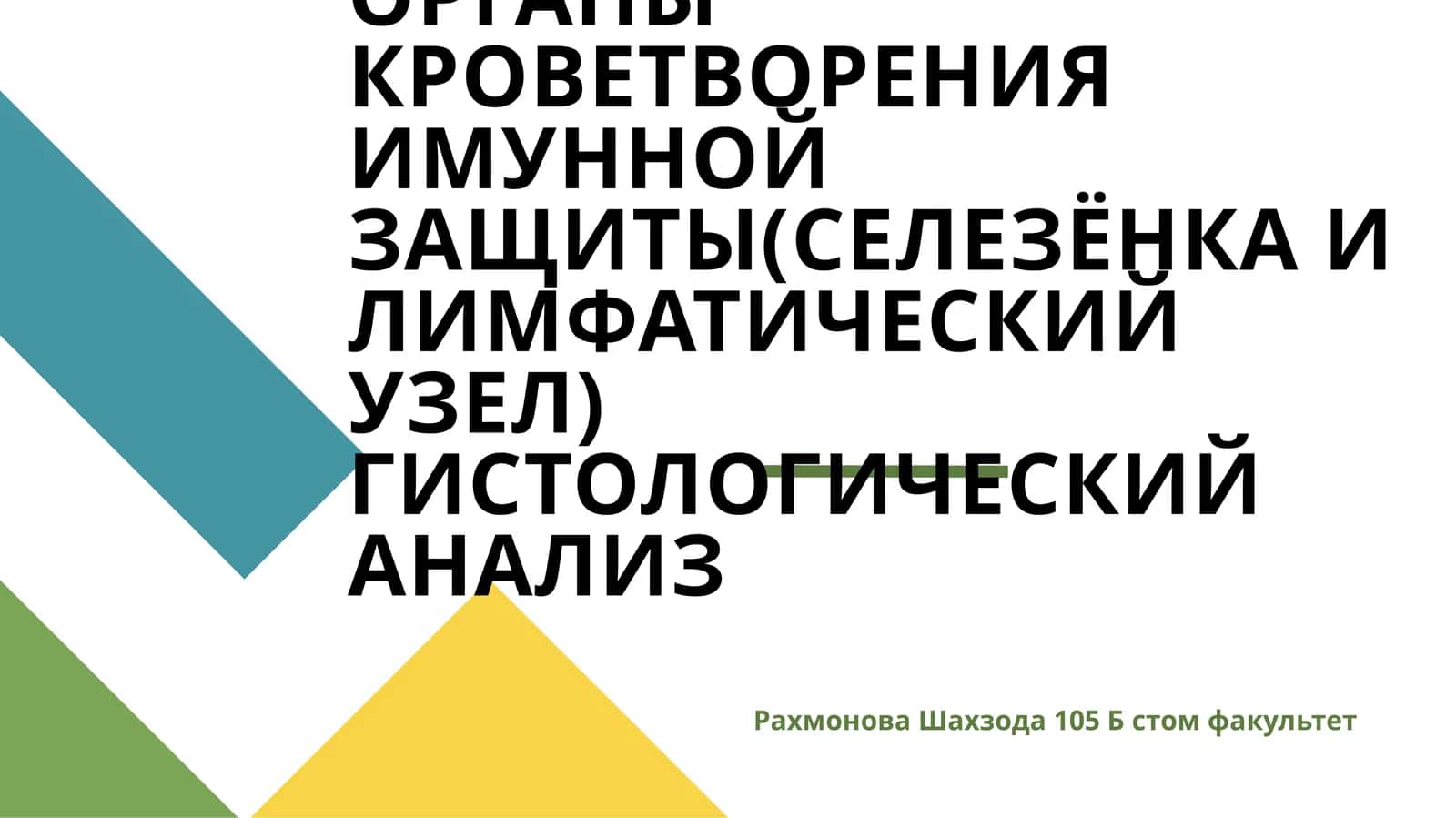 ПЕРИФЕРИЧЕСКИЕ ОРГАНЫ КРОВЕТВОРЕНИЯ ИМУННОЙ ЗАЩИТЫ(СЕЛЕЗЁНКА И ЛИМФАТИЧЕСКИЙ УЗЕЛ) ГИСТОЛОГИЧЕСКИЙ АНАЛИЗ 1