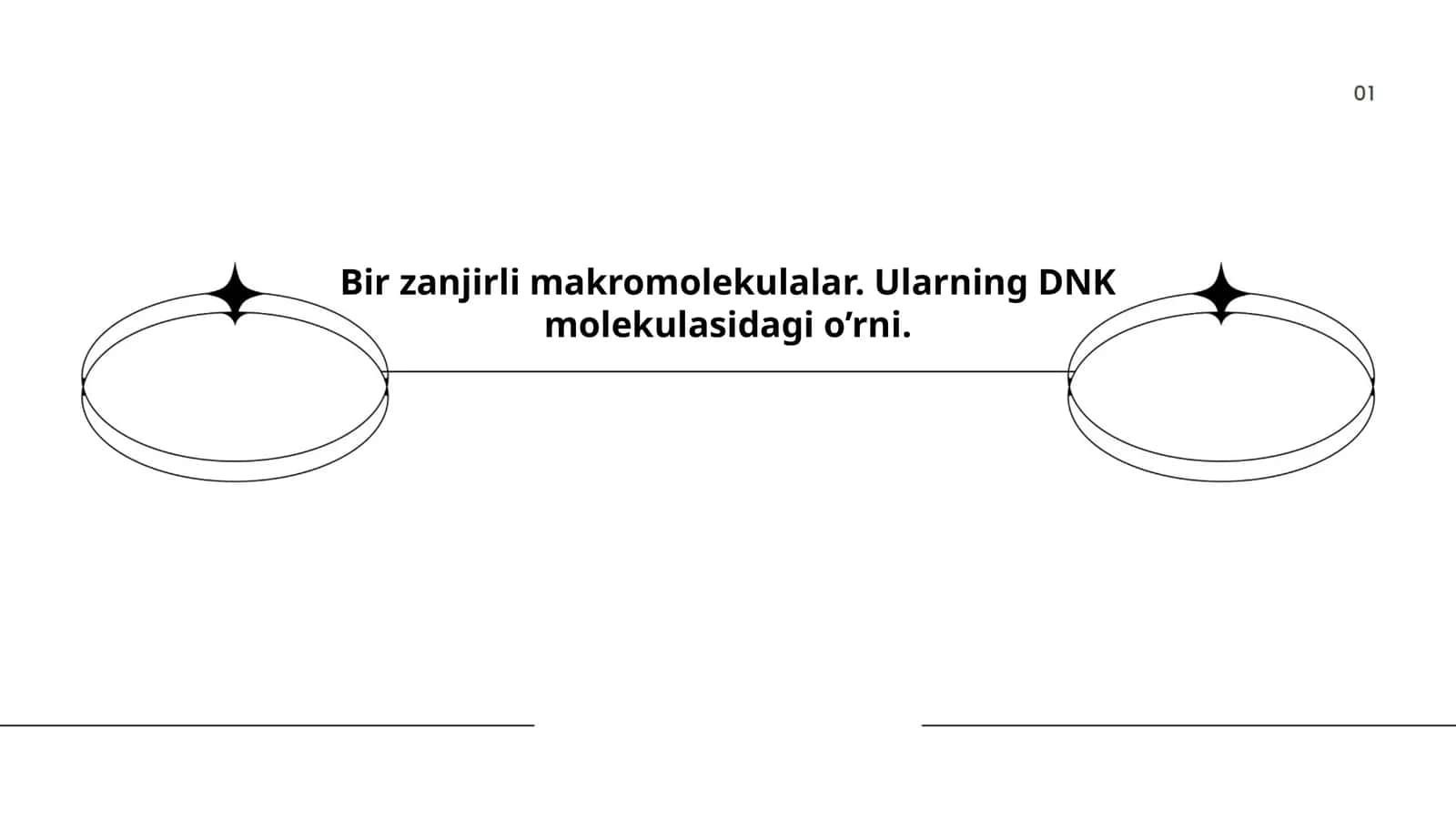 Zanjirli makromolekulalar 1