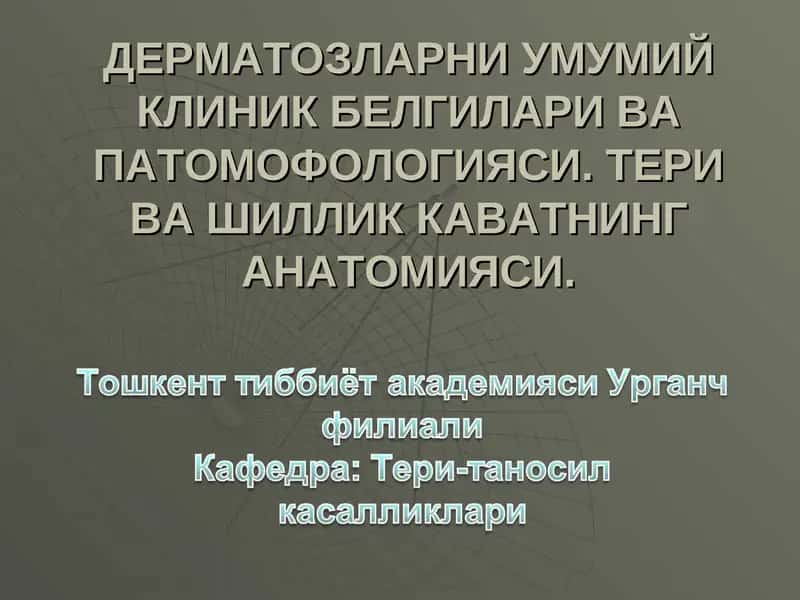 Терининг тузилиши 1