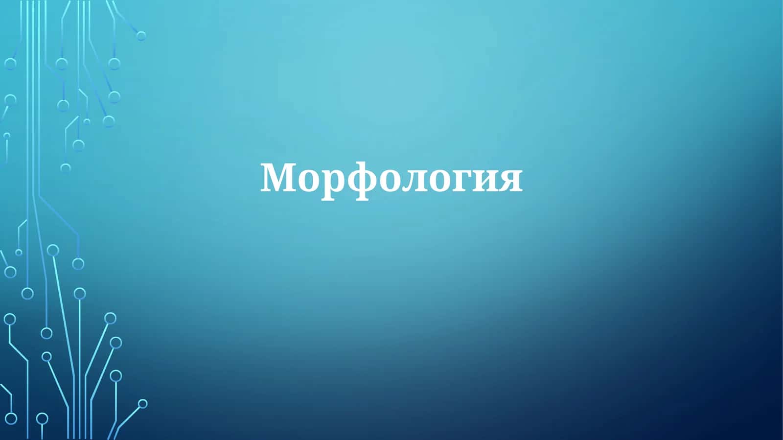 Морфология 1