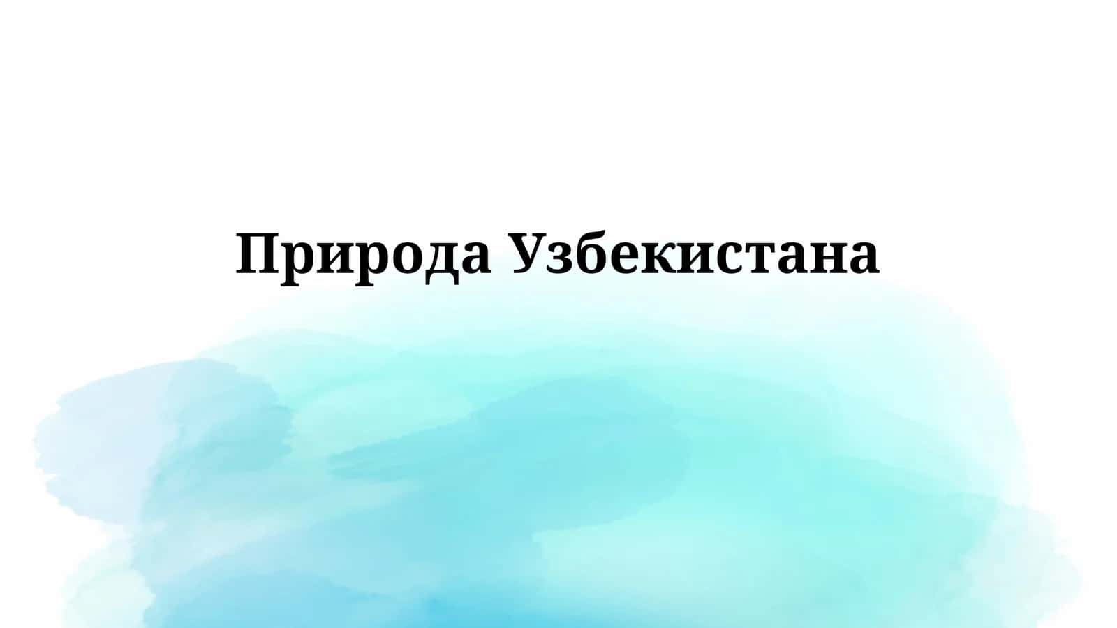 ПриродаУзбекистана 1