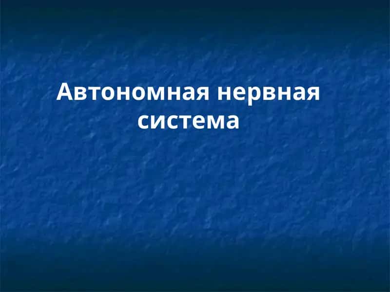 Верхний шейный узел 1