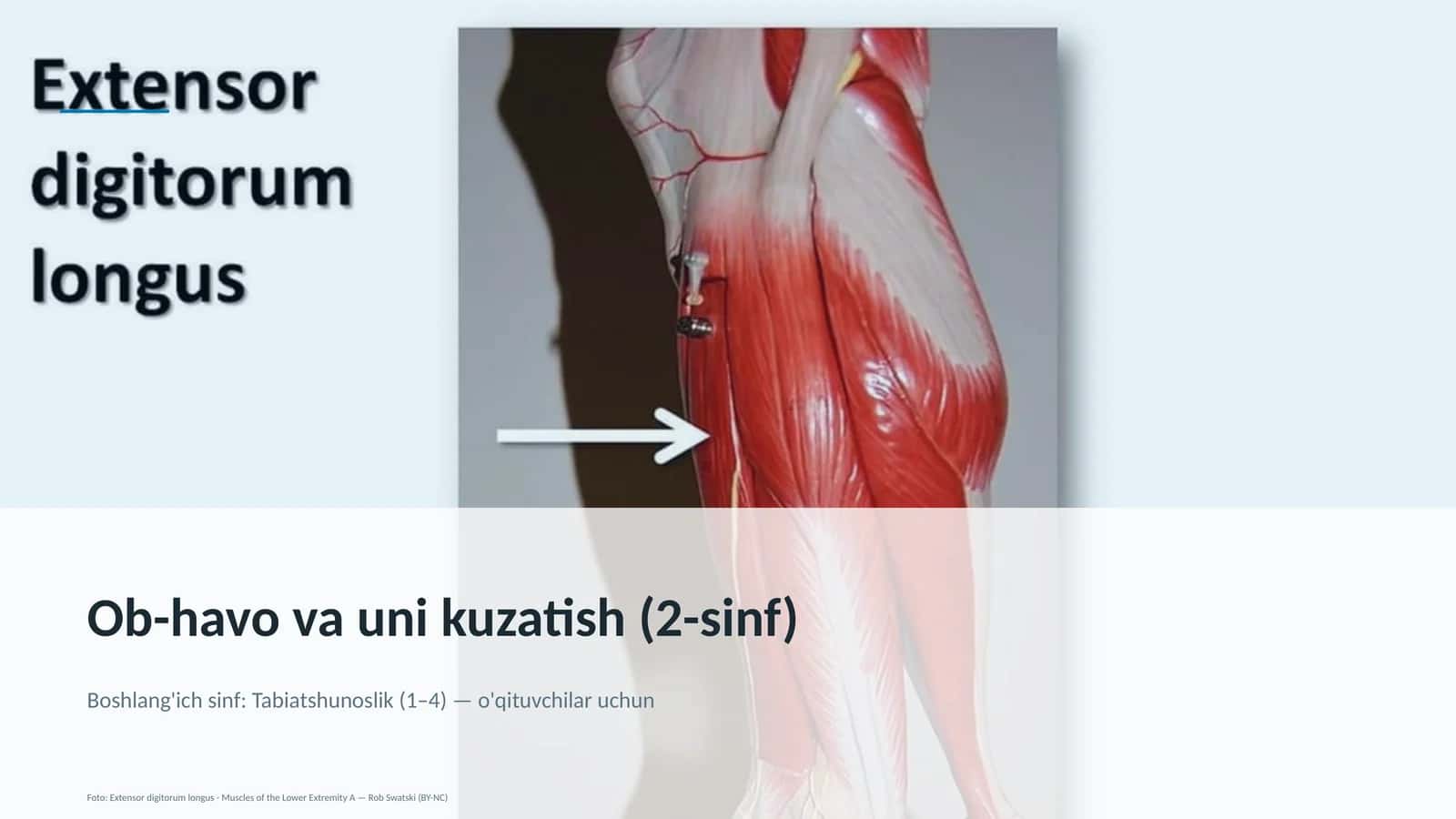 Ob-havo va uni kuzatish (2-sinf) 1
