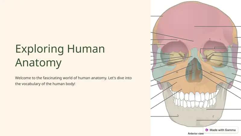 Exploring Human Anatomy 1