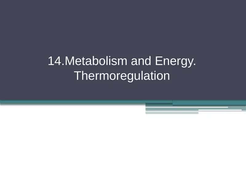 Metabolism and Energy. Thermoregulation 1