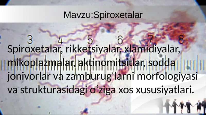 Spiroxetalar, rikketsiyalar, xlamidiyalar, mikoplazmalar, aktinomitsitlar, sodda jonivorlar 1