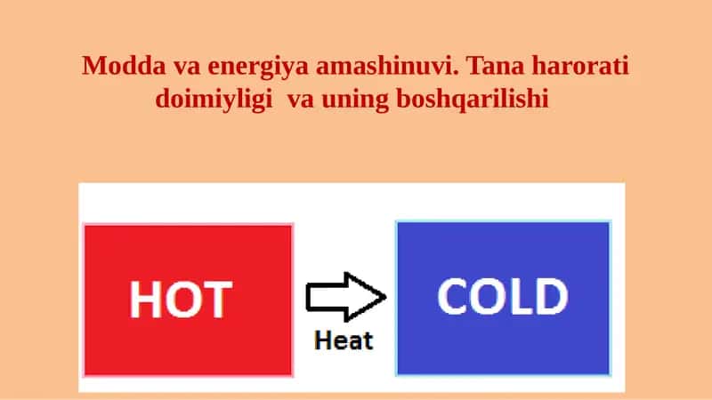 Modda va energiya amashinuvi. Tana harorati doimiyligi  va uning boshqarilishi 1