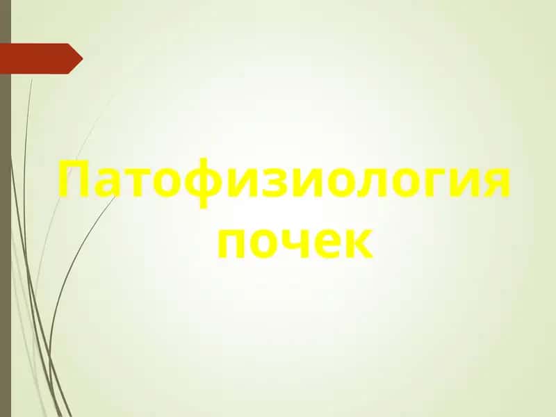 Патофизиология почек 1