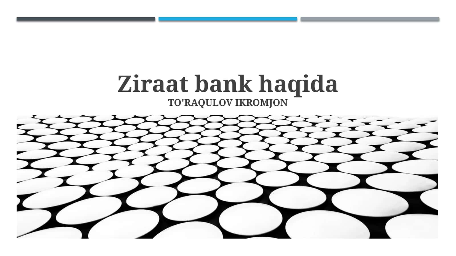 Ziraat bank haqida 1