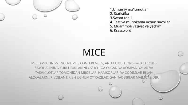 MICE (Meetings, Incentives, Conferences, and Exhibitions) 1