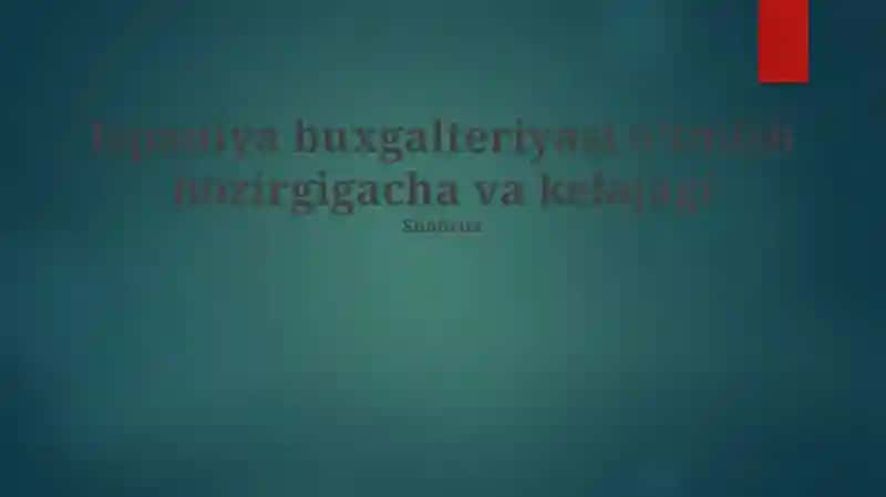 Ispaniya buxgalteriyasi o'tmish hozirgigacha va kelajagi