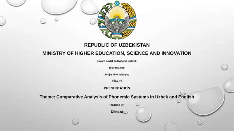 Comparative Analysis of Phonemic Systems in Uzbek and English 1