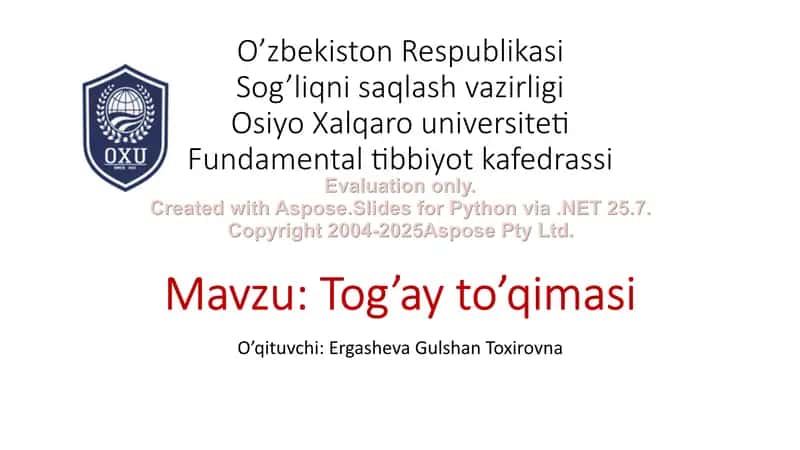 Tog’ay to’qimasi 1