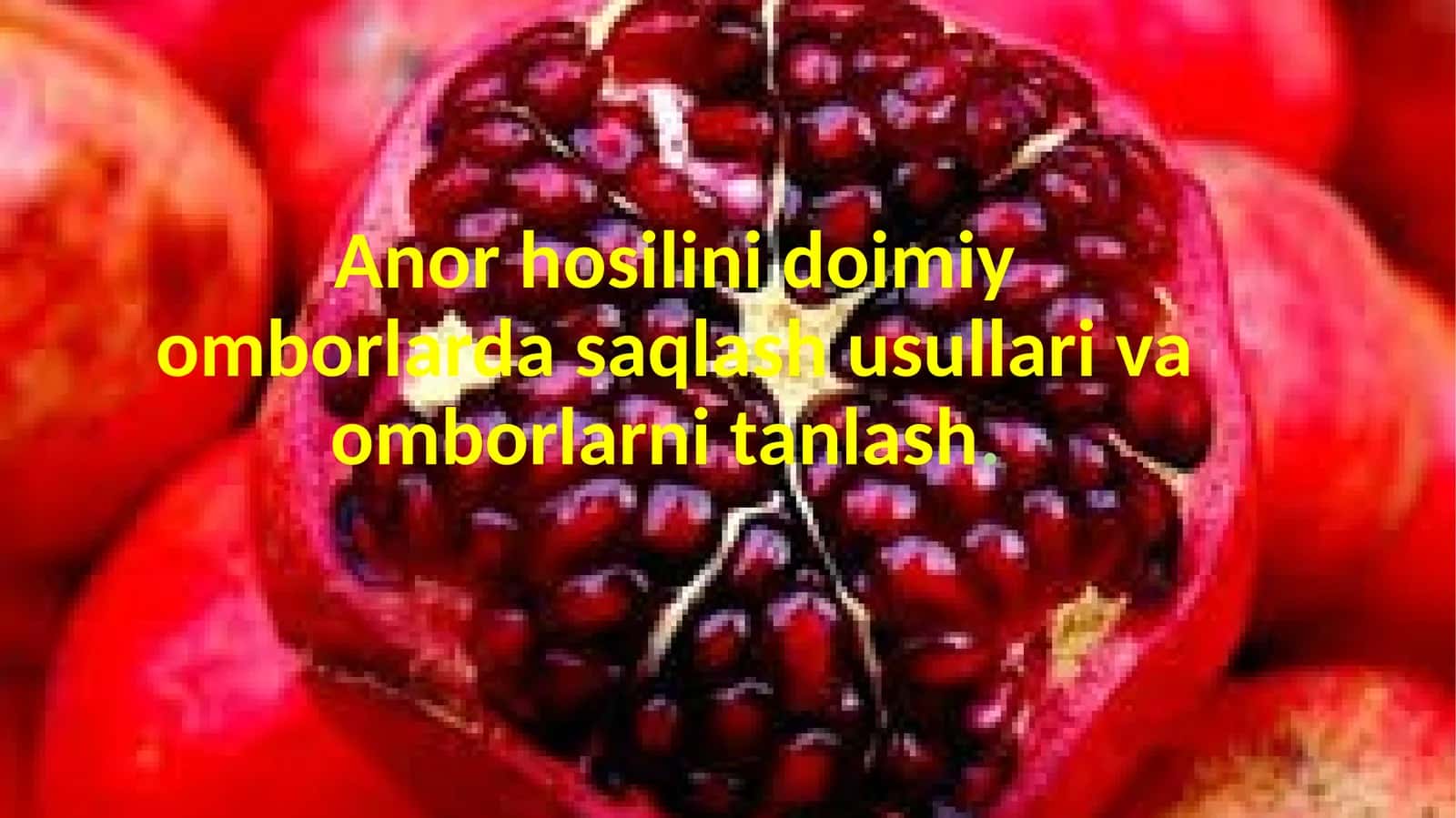 anor saqlash usullari taqdimot 1