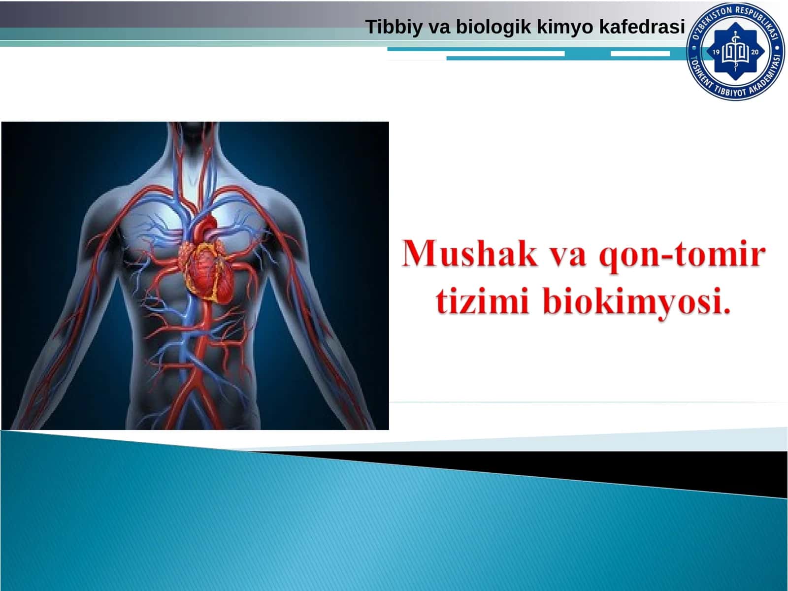 Mushak va qon-tomir tizimi biokimyosi 1