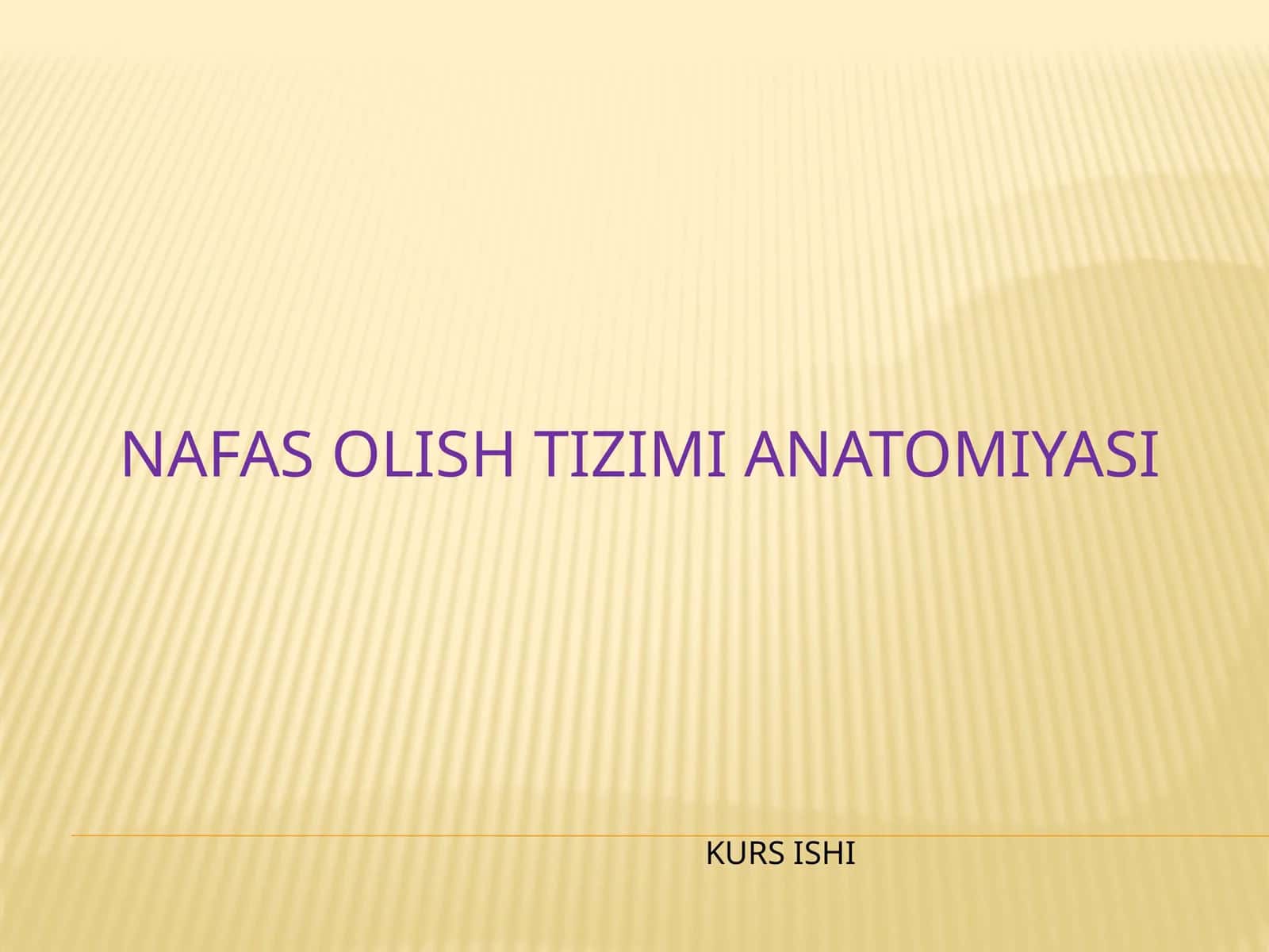Nafas olish tizimi anatomiyasi 1