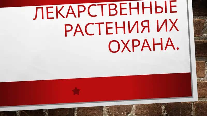 ЛЕКАРСТВЕННЫЕ РАСТЕНИЯ ИХ ОХРАНА 1