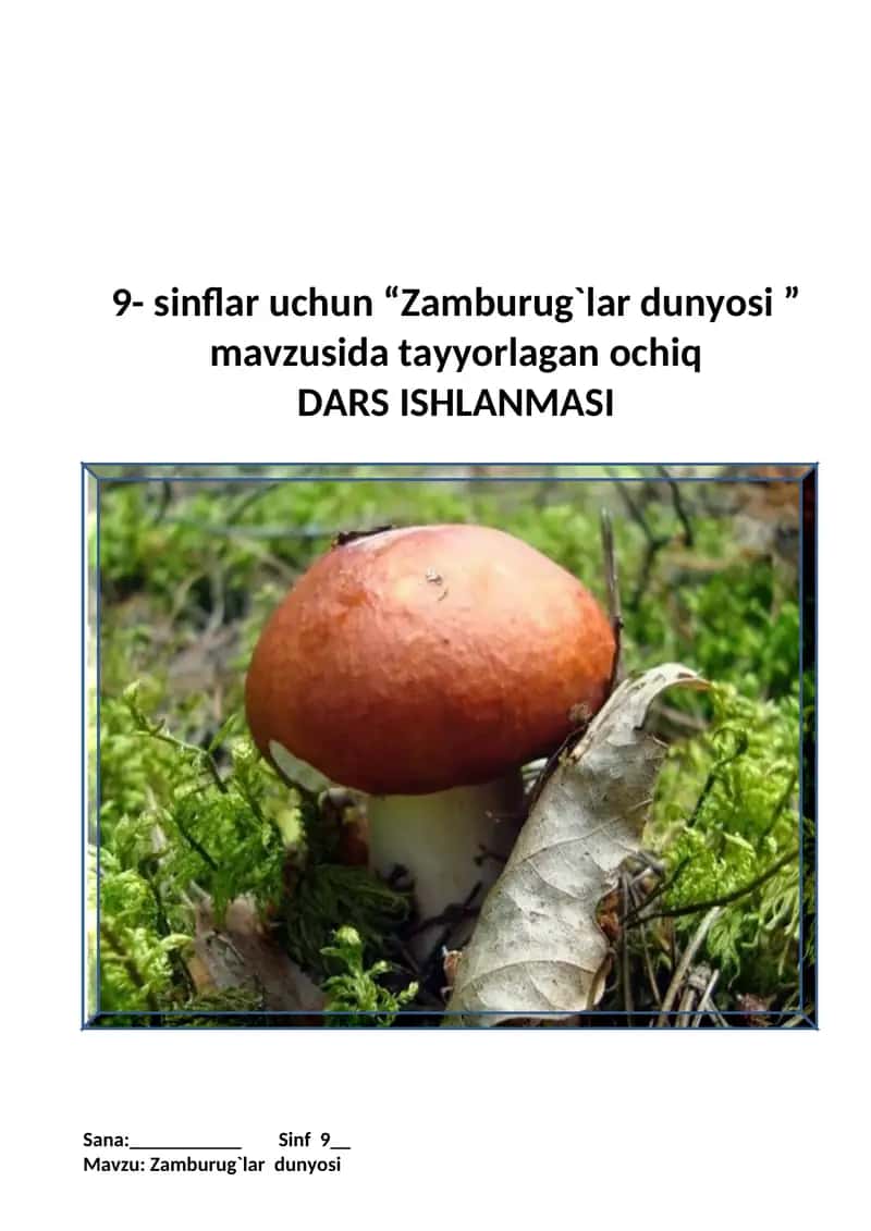 Zamburug`lar dunyosi 1