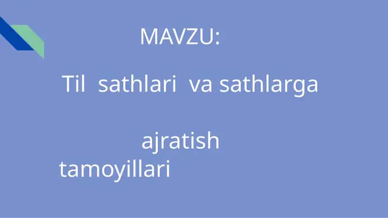 Til sathlari va sathlarga ajratish tamoyillari 1