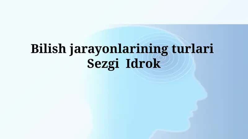 Sezgi va Idrok: Ta'riflar va Turlari 1
