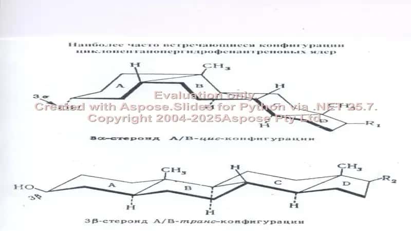 Sabunlanmaydigan lipidlar 1