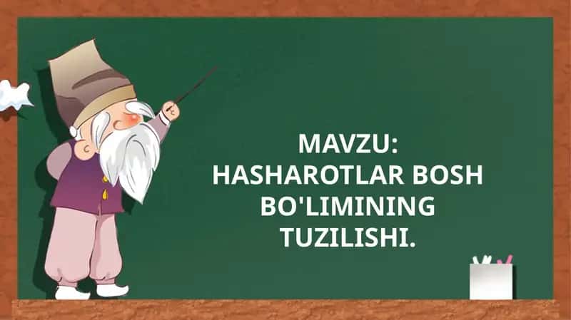 HASHAROTLAR BOSHBO'LIMINING TUZILISHI 1