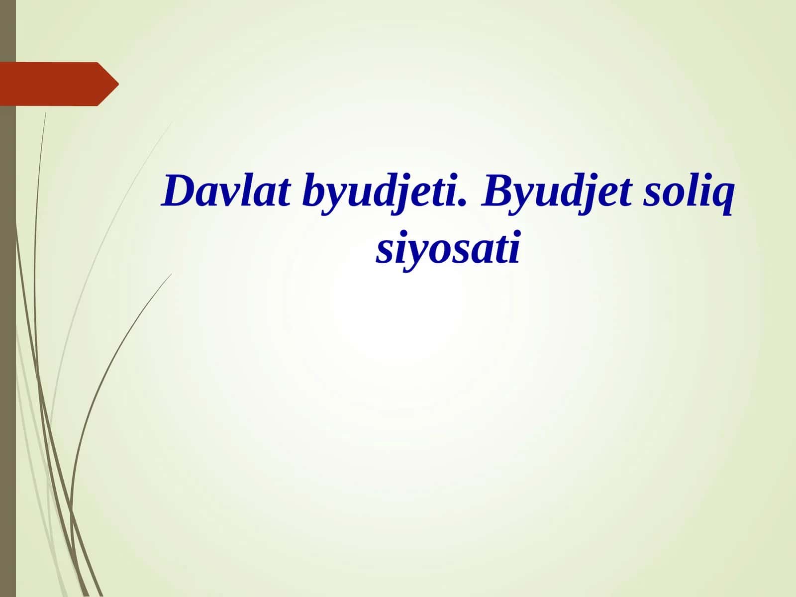 Davlat byudjeti. Byudjet soliq siyosati 1