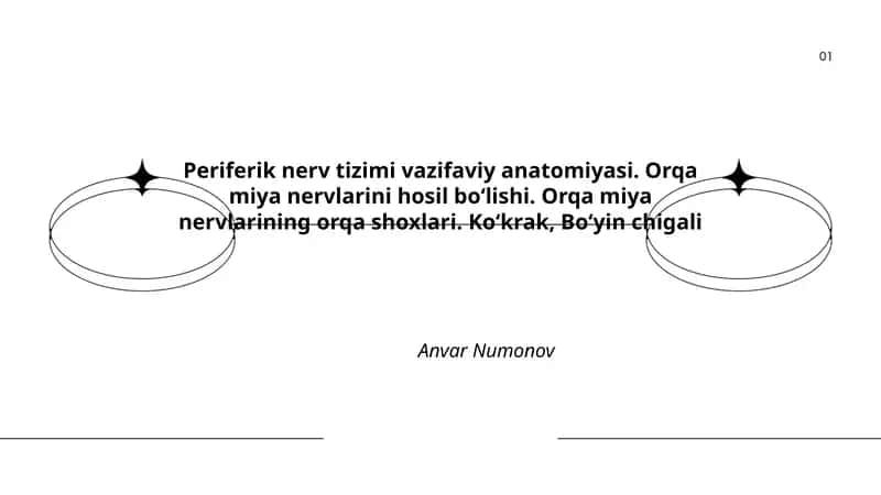 Periferik nerv tizimi vazifaviy anatomiyasi 1