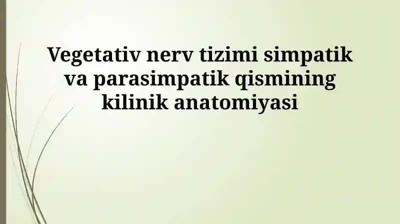 Vegetativ nerv tizimi simpatik va parasimpatik qismining kilinik anatomiyasi
