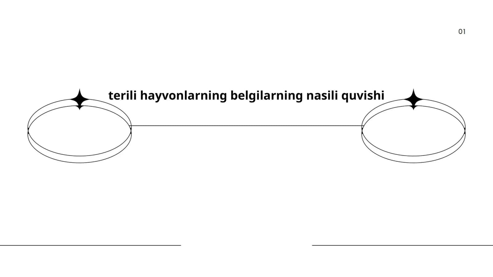 Terili hayvonlar anatomiyasi 1